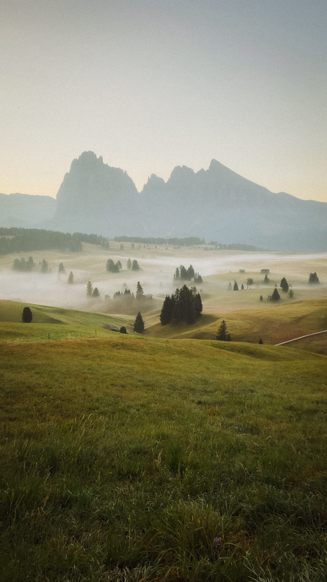 "A Valley Made of Light"